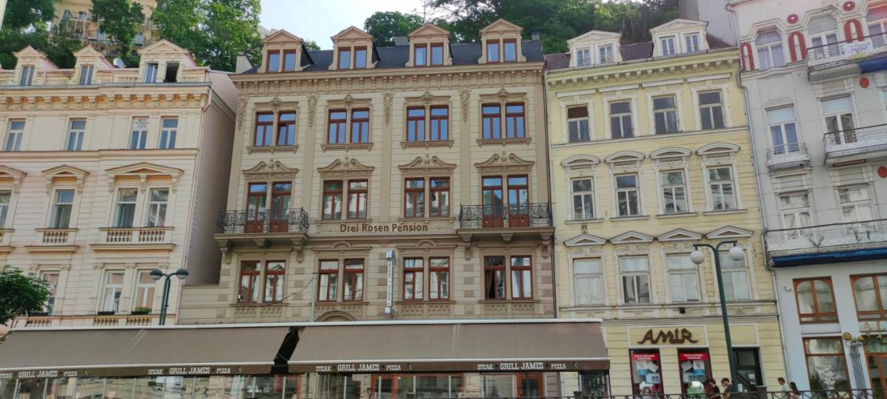 Pension Drei Rosen Karlovy Vary Kültér fotó